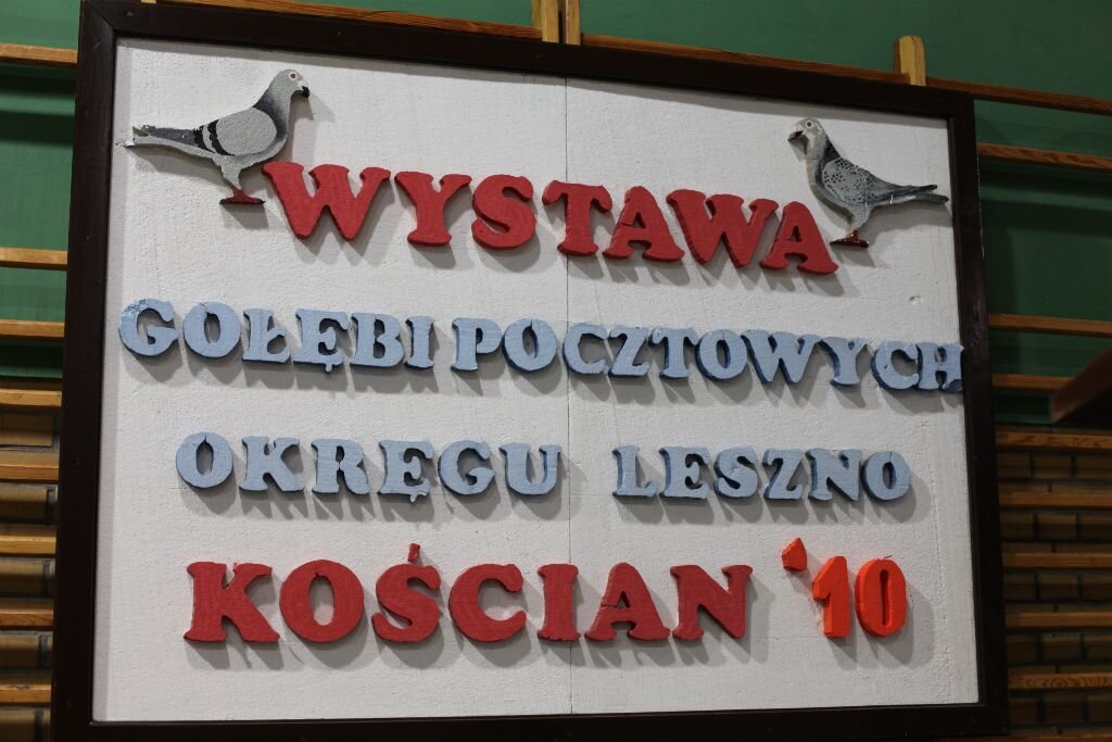 Wystawa